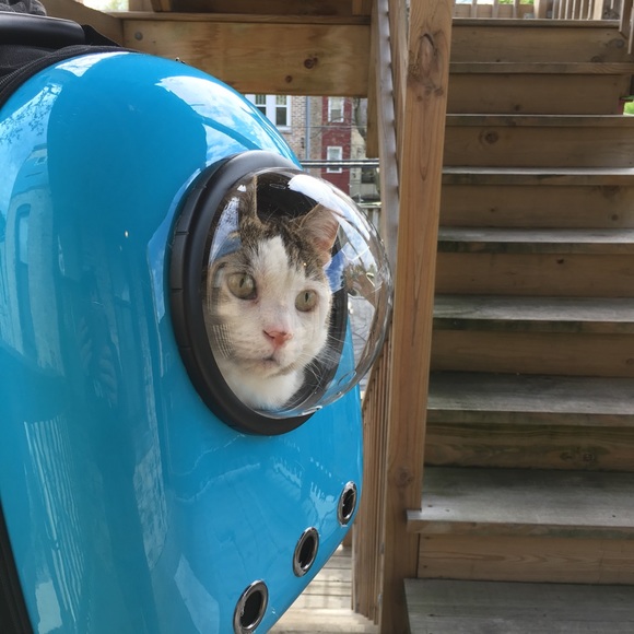 Meet your Posher, Kelly - Picture 1 of 4